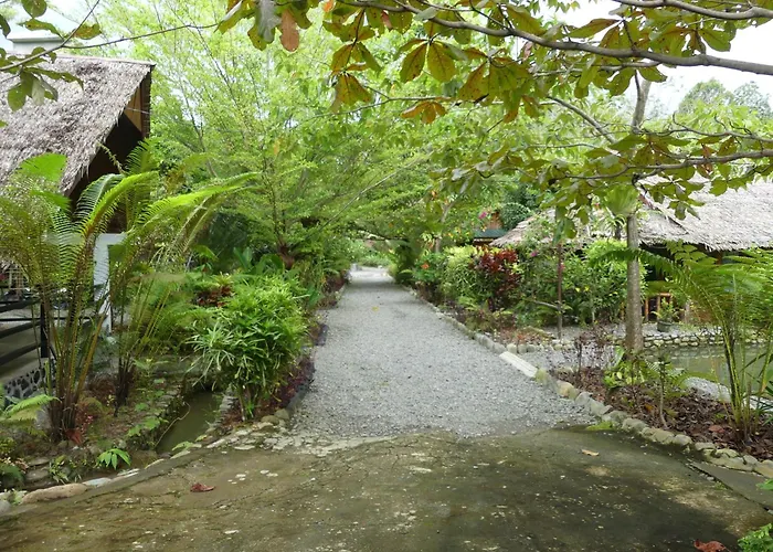 Magpie Homestay & Jungle Trekking Especially For Guest Trekking With Us