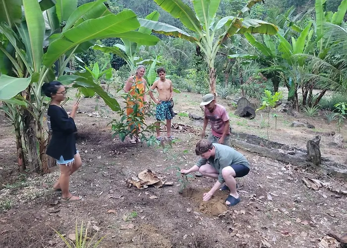 Rinte Green Village&Bukit Lawang Jungle Trekking